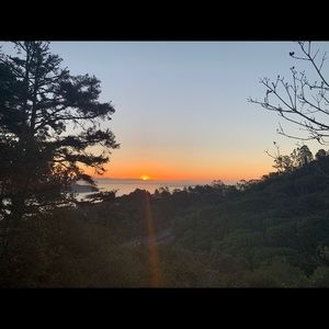 Meet your Posher, Laurie